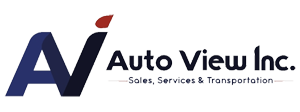 AUTO-VIEW INC