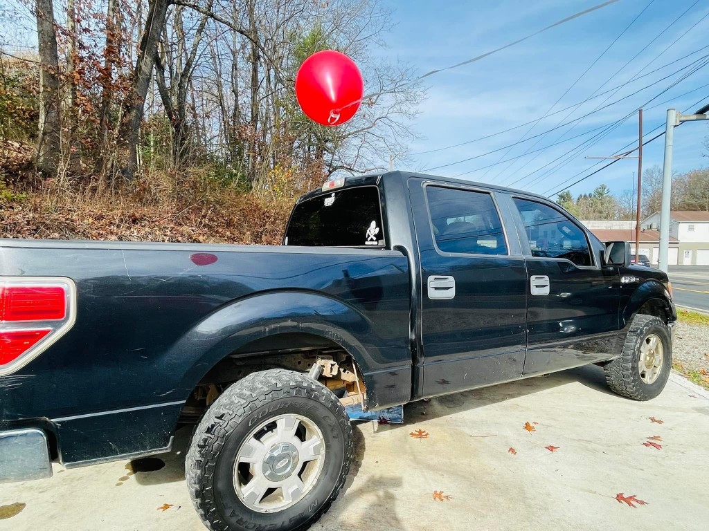 2010 FORD F-150