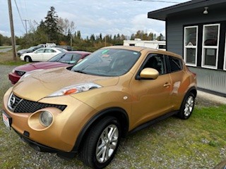2013 Nissan JUKE