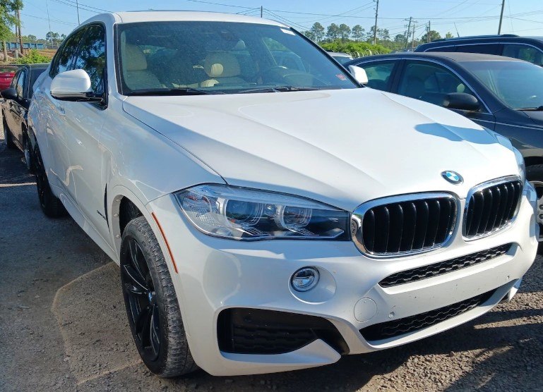2019 BMW X6