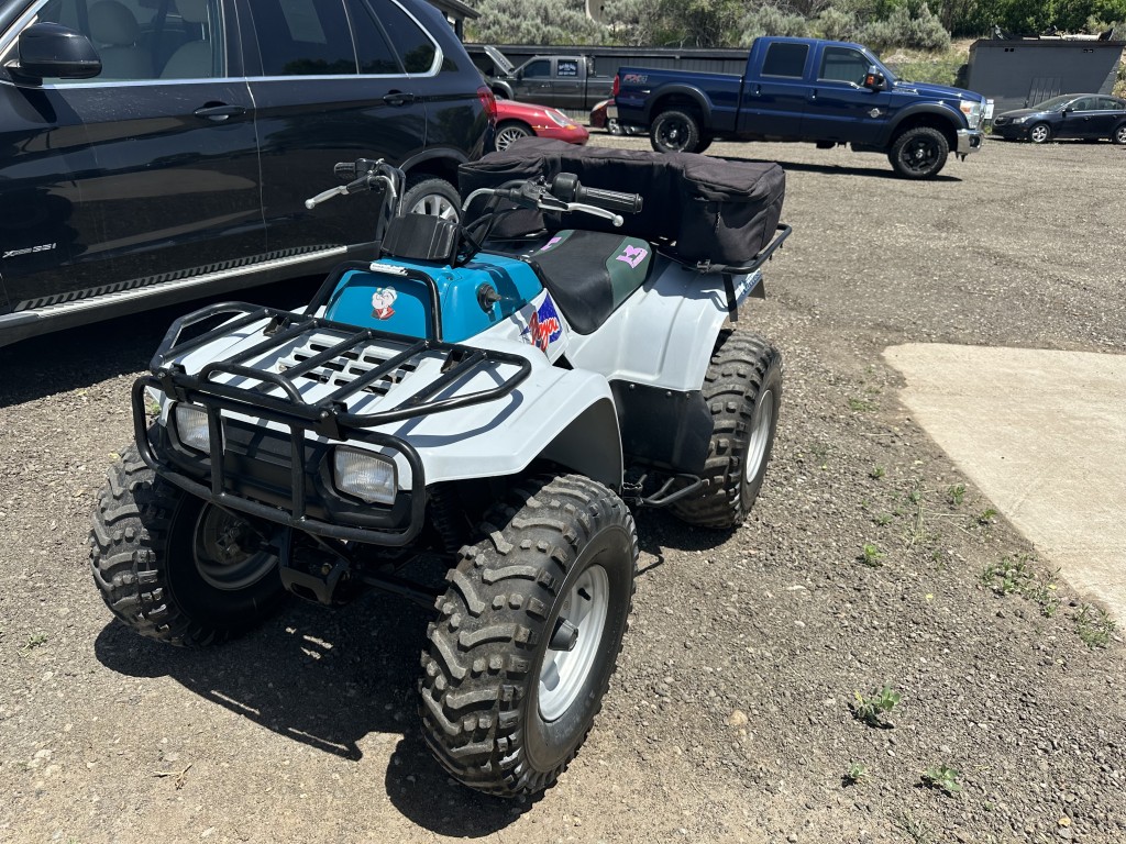 1995 Kawasaki 220