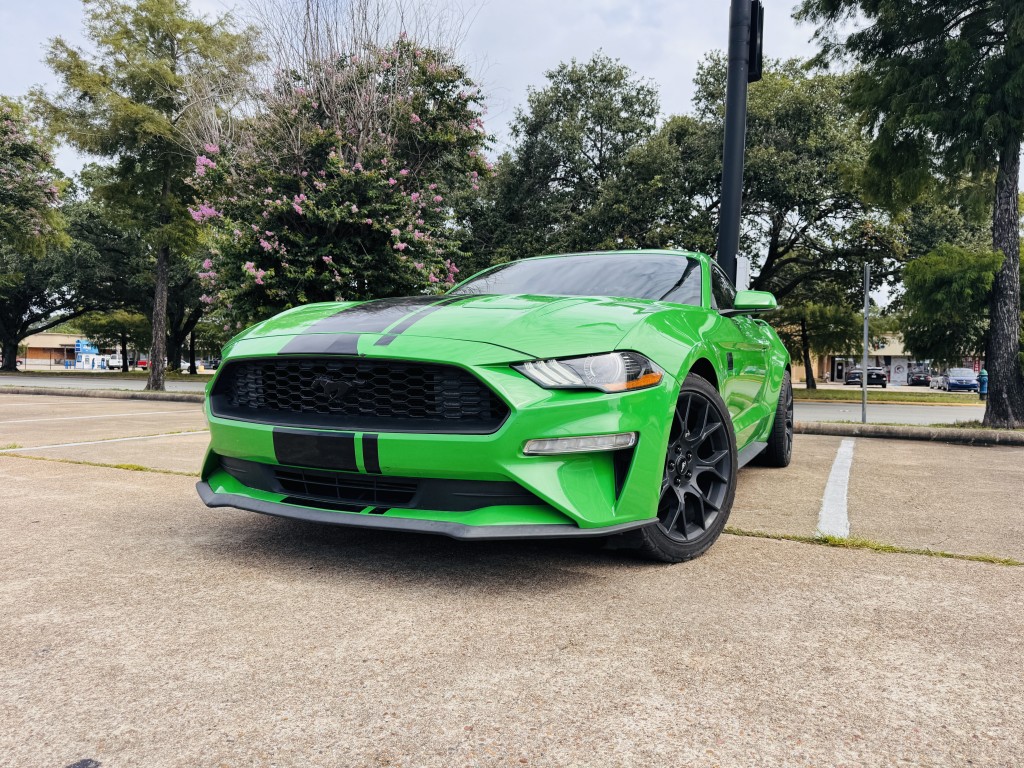 2019 Ford Mustang