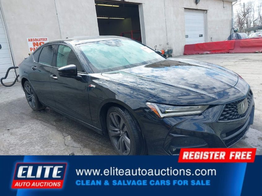 2023 ACURA TL