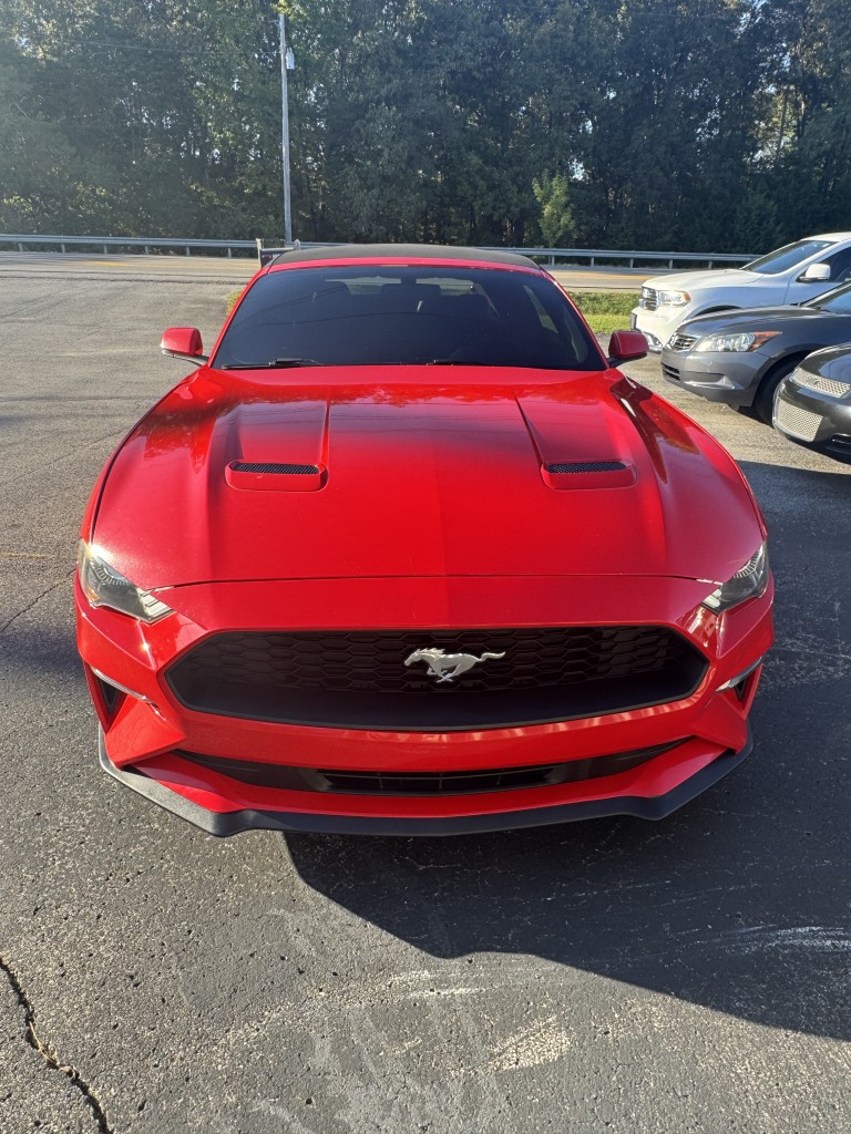2019 Ford Mustang