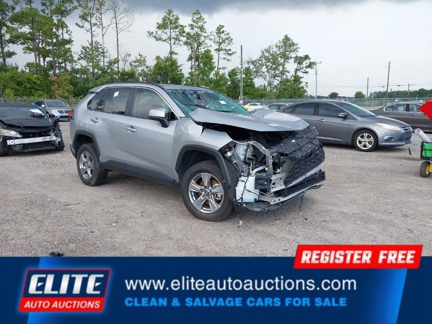 2024 TOYOTA RAV4