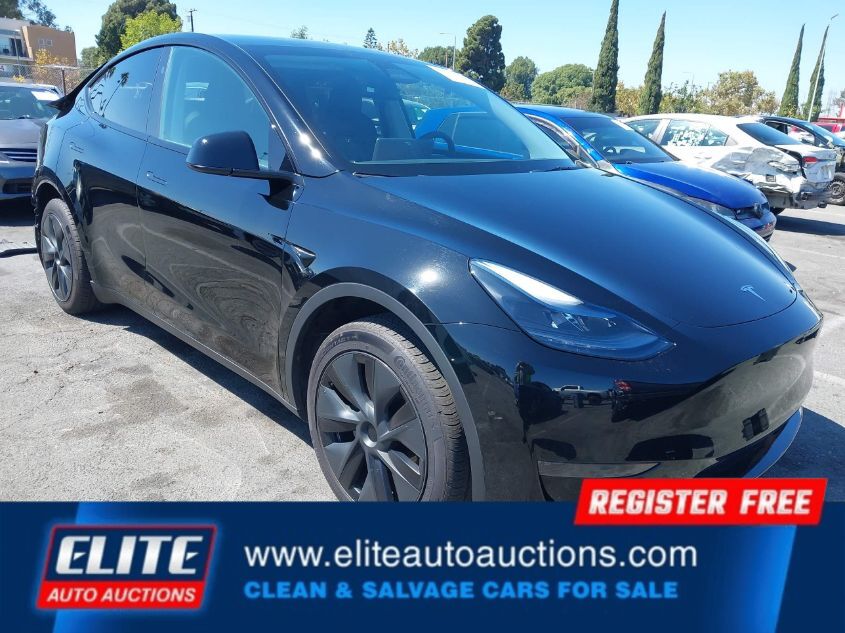 2024 TESLA MODEL Y