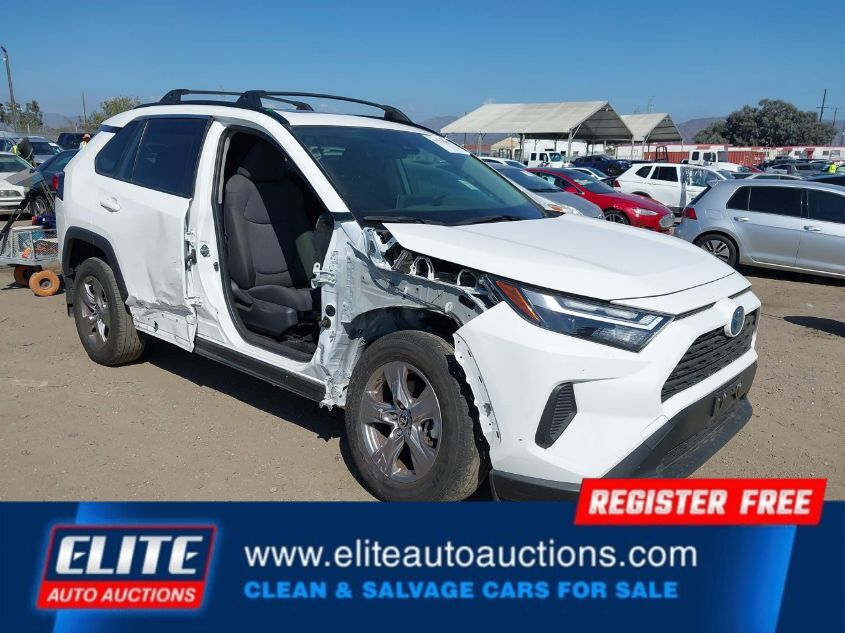 2024 TOYOTA RAV4
