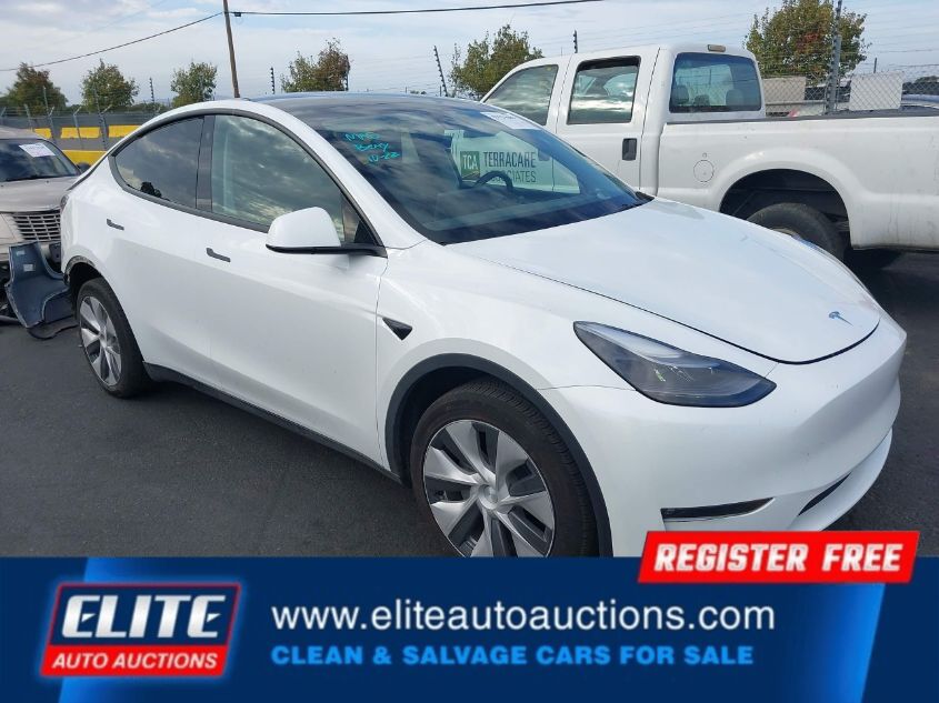 2023 TESLA MODEL Y