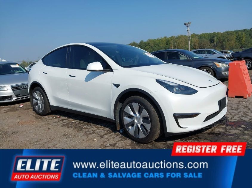 2024 TESLA MODEL Y