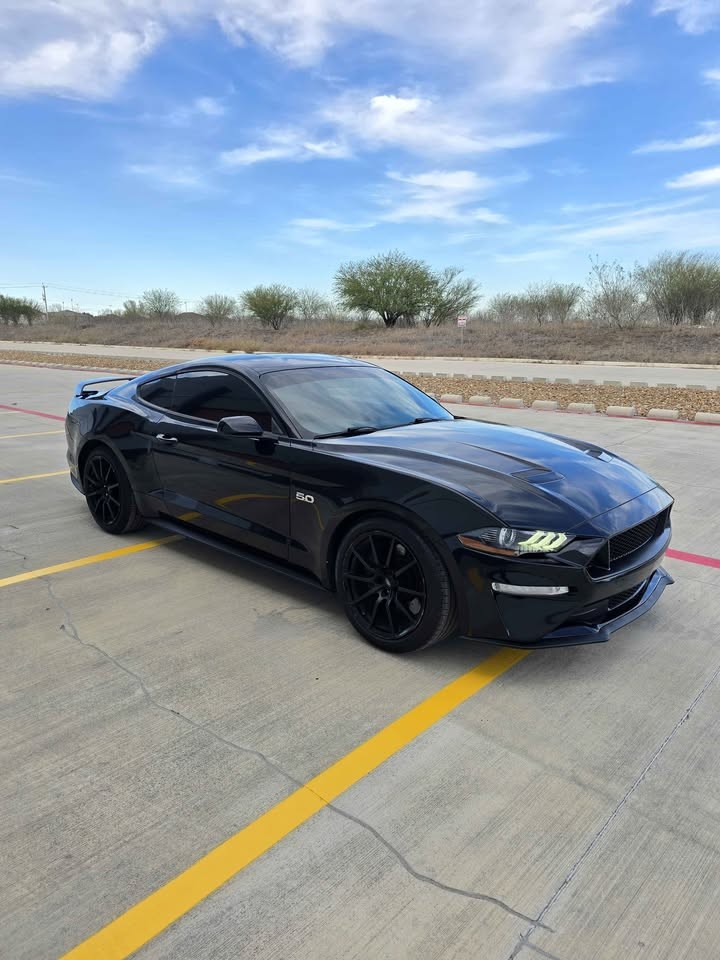 2019 Ford Mustang
